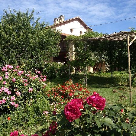 Casa Isabella Konuk evi Vaglio Serra Dış mekan fotoğraf