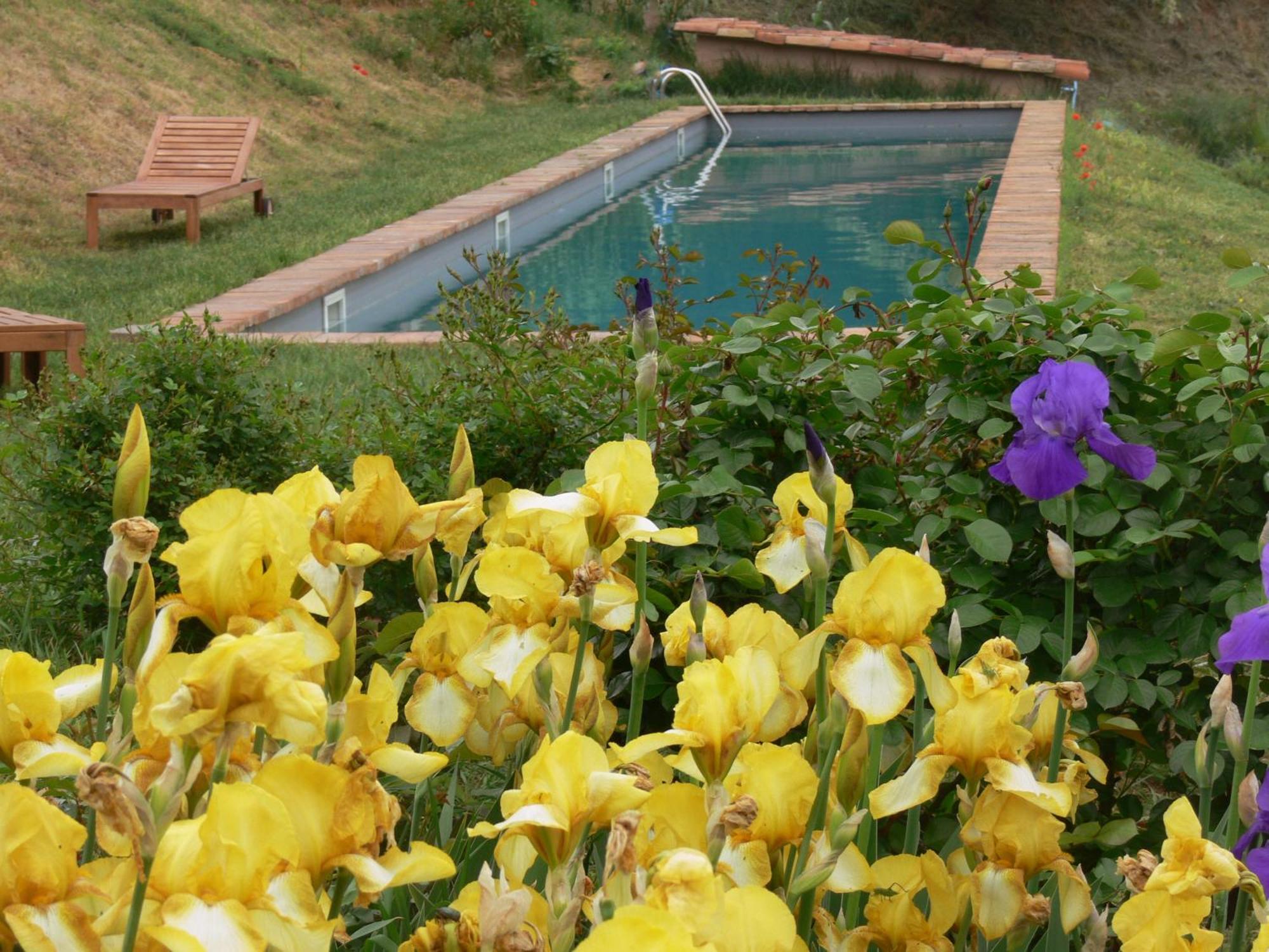 Casa Isabella Konuk evi Vaglio Serra Dış mekan fotoğraf